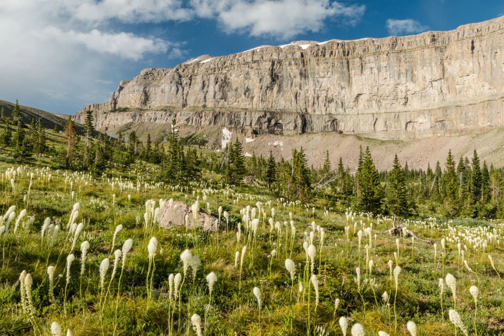 An image depicting the trail Omar Mountain via Dwight Creek and North Fork Trail and its surrounding area.