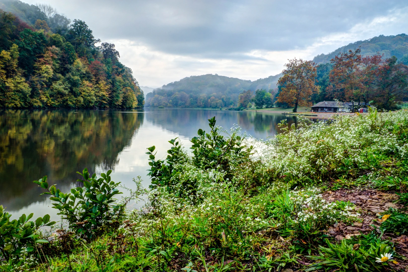 An image depicting the trail Brady's Run Park and Lake Loop and its surrounding area.
