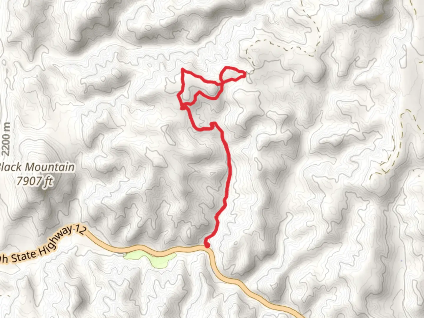 An image depicting the trail Rich Trail and its surrounding area.