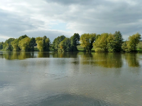 An image depicting the trail Tunbridge Wells to Cranbrook Walk and its surrounding area.