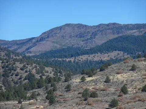 An image depicting the trail Rogger Peak Loop Trail and its surrounding area.
