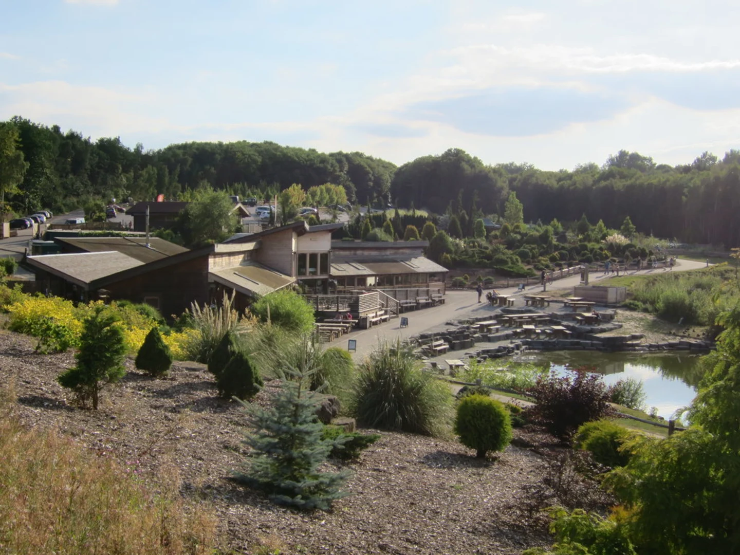 An image depicting the trail Bedgebury Forest Loop and its surrounding area.