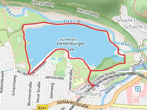 Vienenburger See Loop