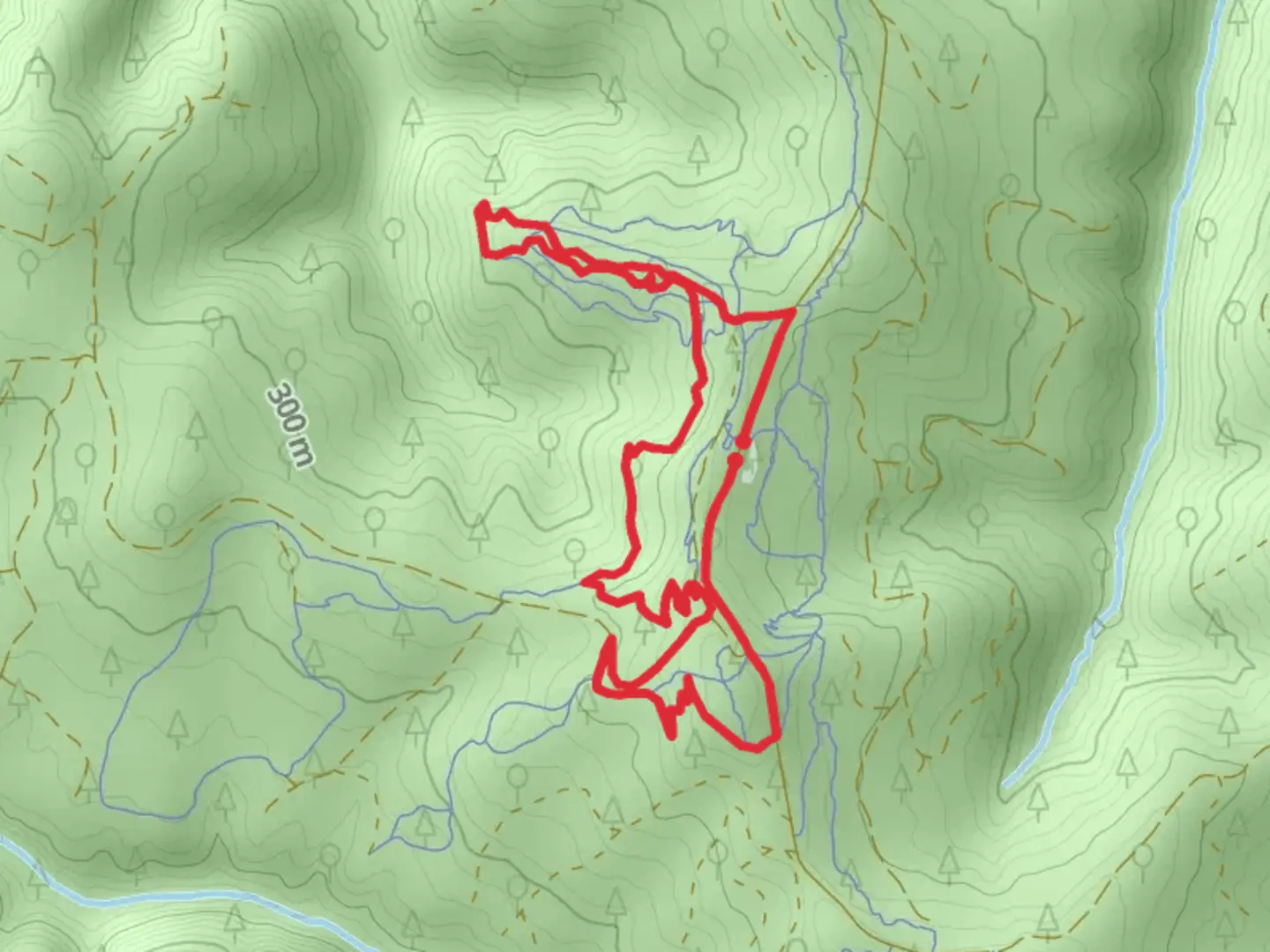 An image depicting the trail Bloody Stump, Boneyard and Lollipop Loop and its surrounding area.