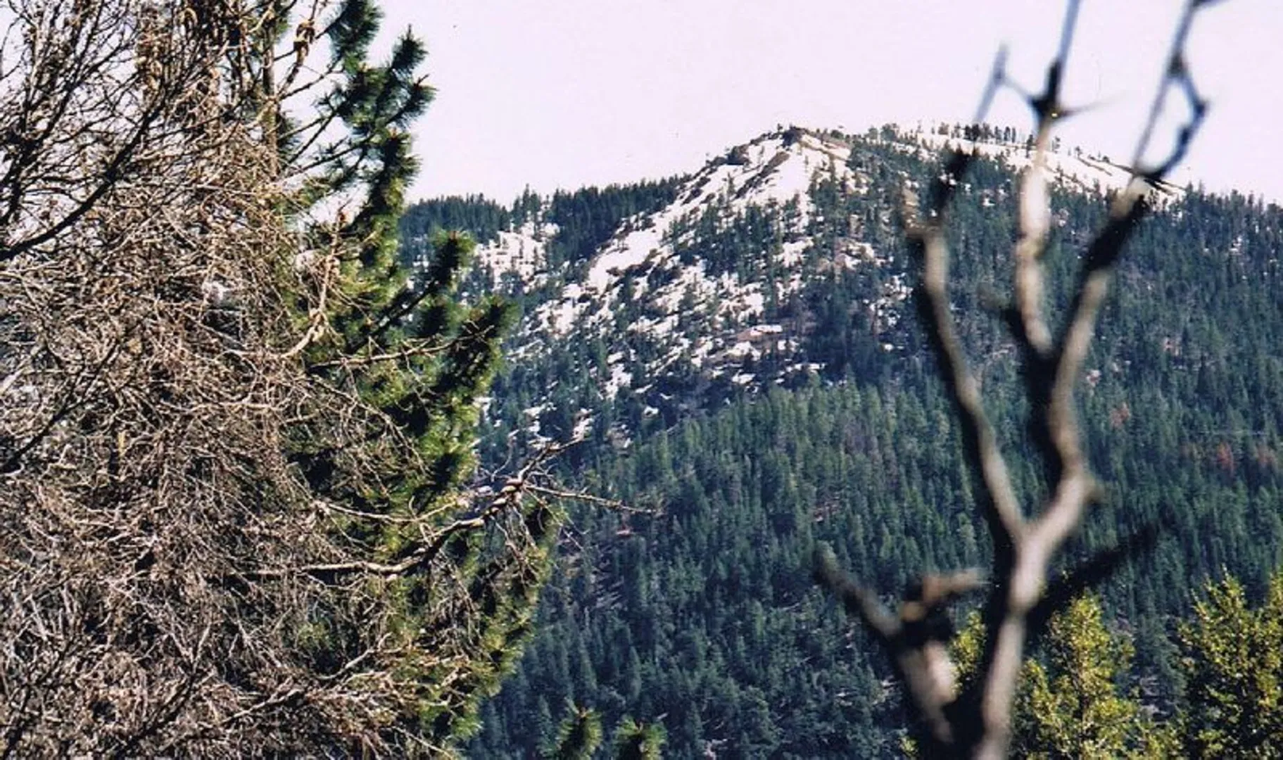 An image depicting the trail Snow Mountain via Deafy Glade Trail and its surrounding area.