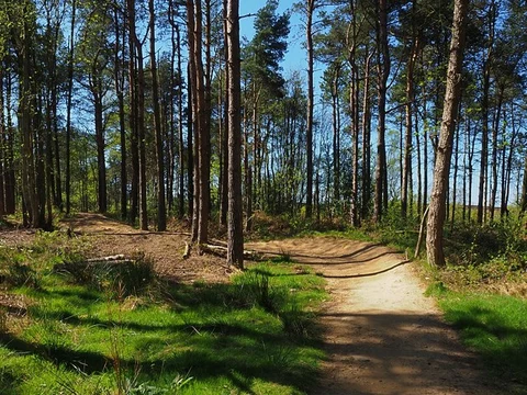 An image depicting the trail Lady Canning's Plantation Walk and its surrounding area.