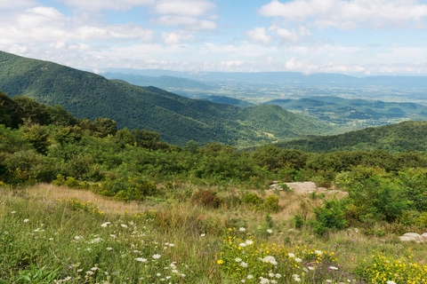 An image depicting the trail Old Rag Road - West Trail and its surrounding area.