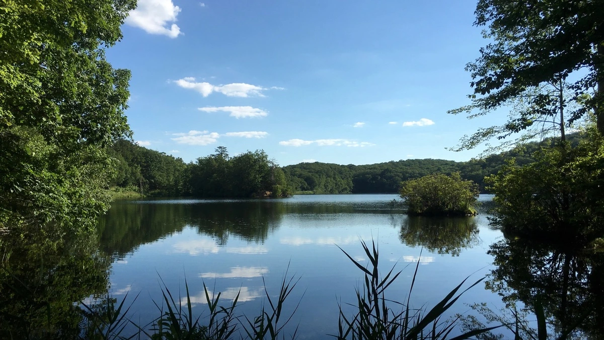 Shenandoah Mountain, Canopus Lake via Appalachian Trail