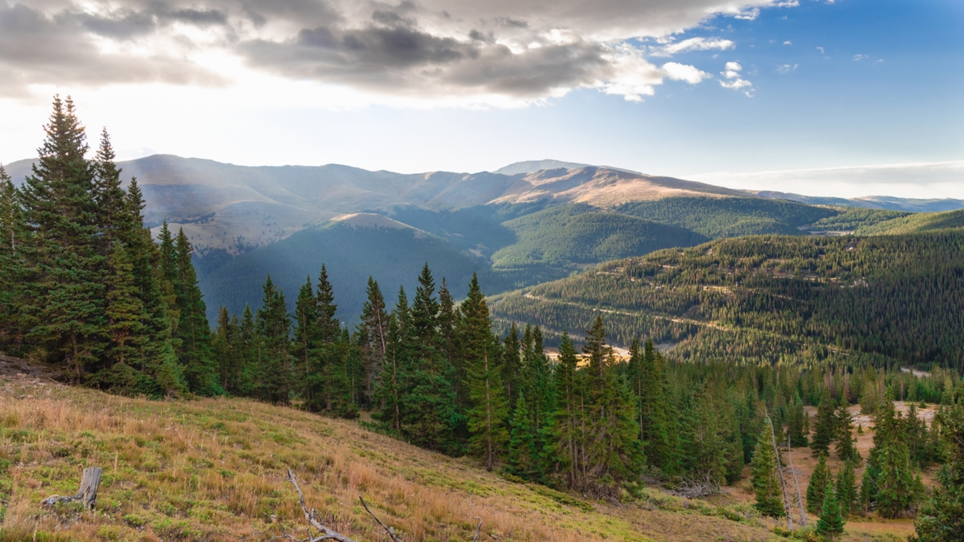 An image depicting the trail Quandary Peak Trail and its surrounding area.