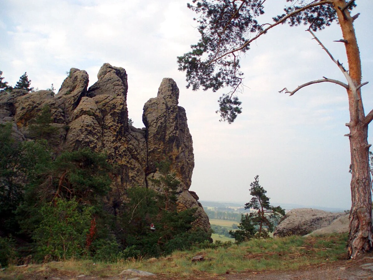 Kuhstall, Hamburger Wappen, Heidelberg and Großvater Loop