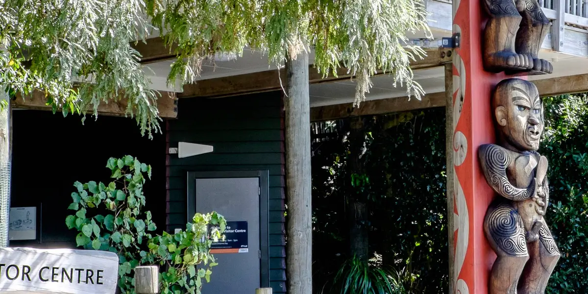 Exhibition Drive to Arataki Visitor Center