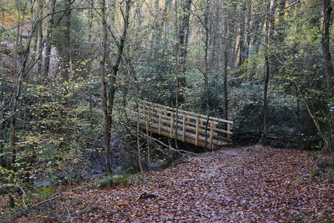 Shadwell Wood and George's Bridge Walk