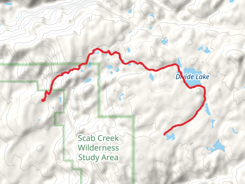Lowline Trail and Sage trail