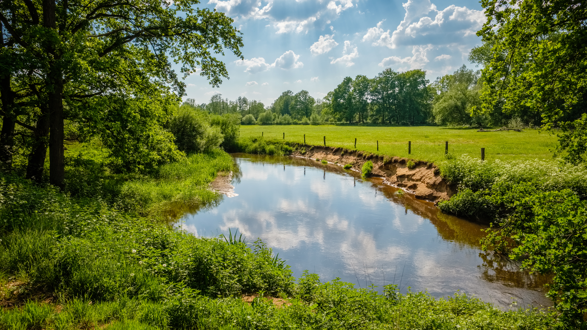 An image depicting the trail Bergvennenweg, Westenveldweg and Vrijdijk Loop and its surrounding area.