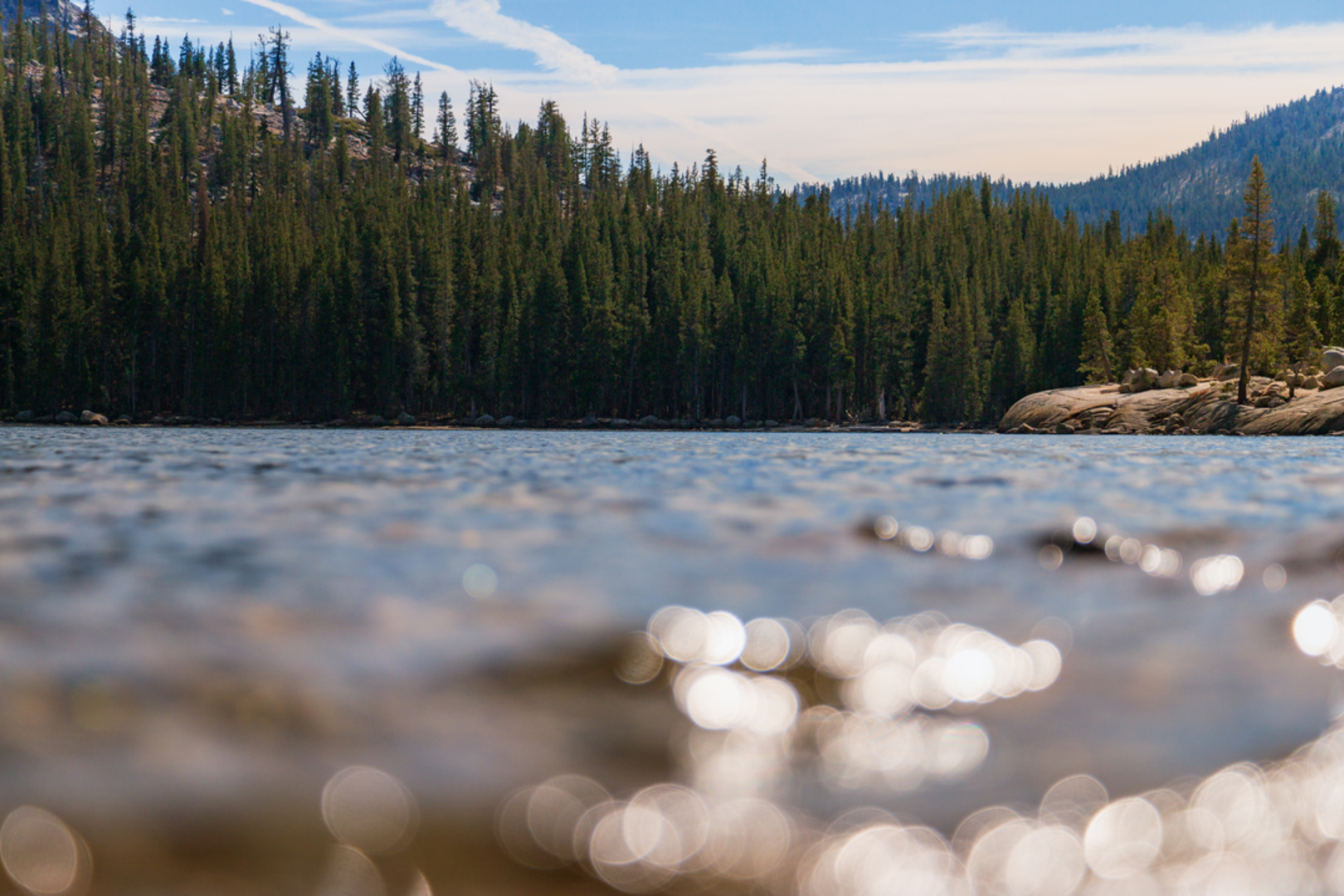 An image depicting the trail Tenaya Lake Trail and its surrounding area.
