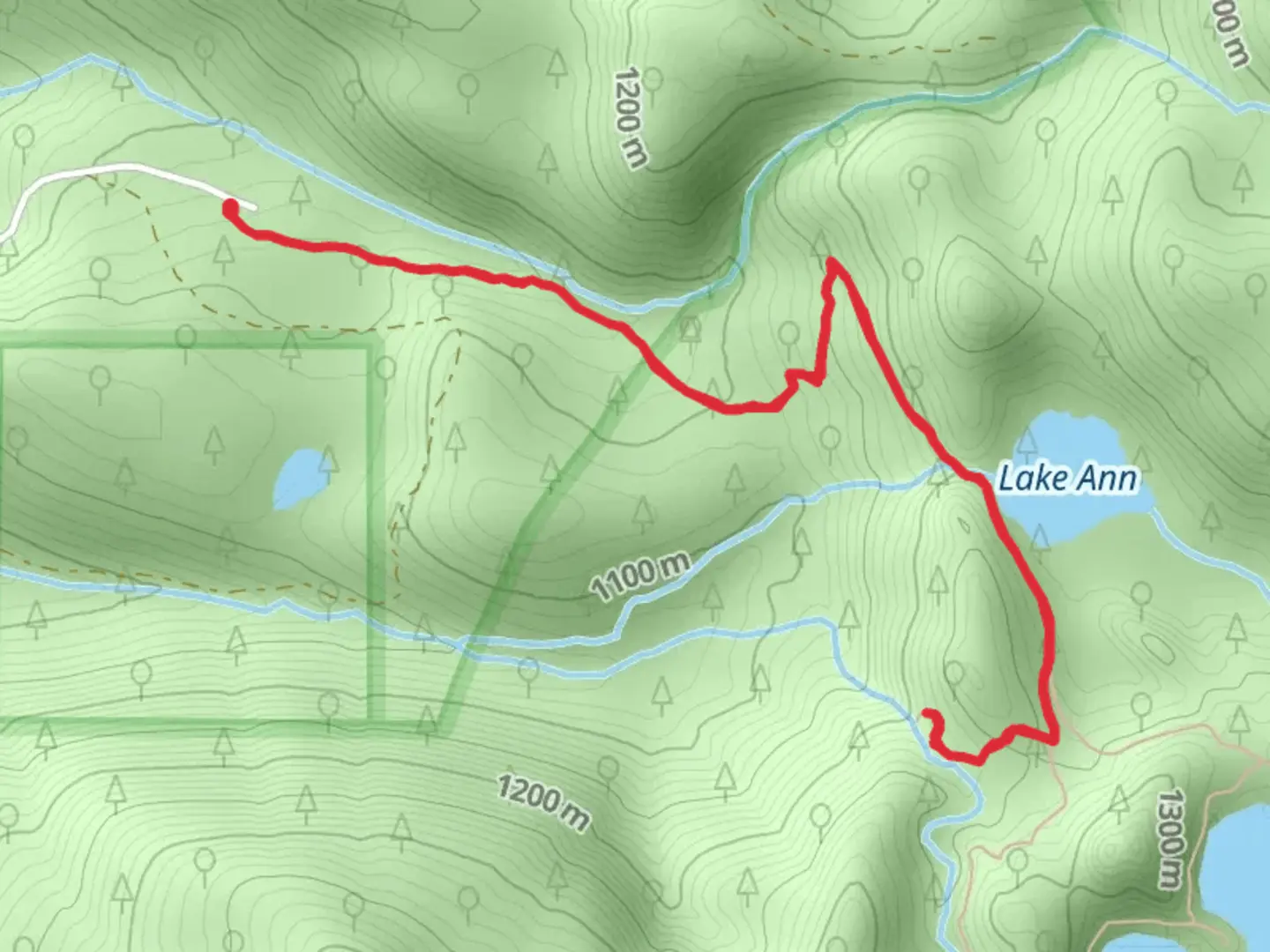 An image depicting the trail Marion Creek via Marion Lake Outlets Trail and its surrounding area.
