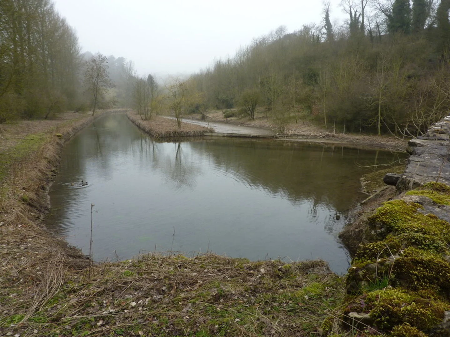 An image depicting the trail Lathkill Dale Eastern Loop from Alport and its surrounding area.