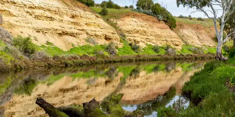 An image depicting the trail Onkaparinga Gorge Trek and its surrounding area.