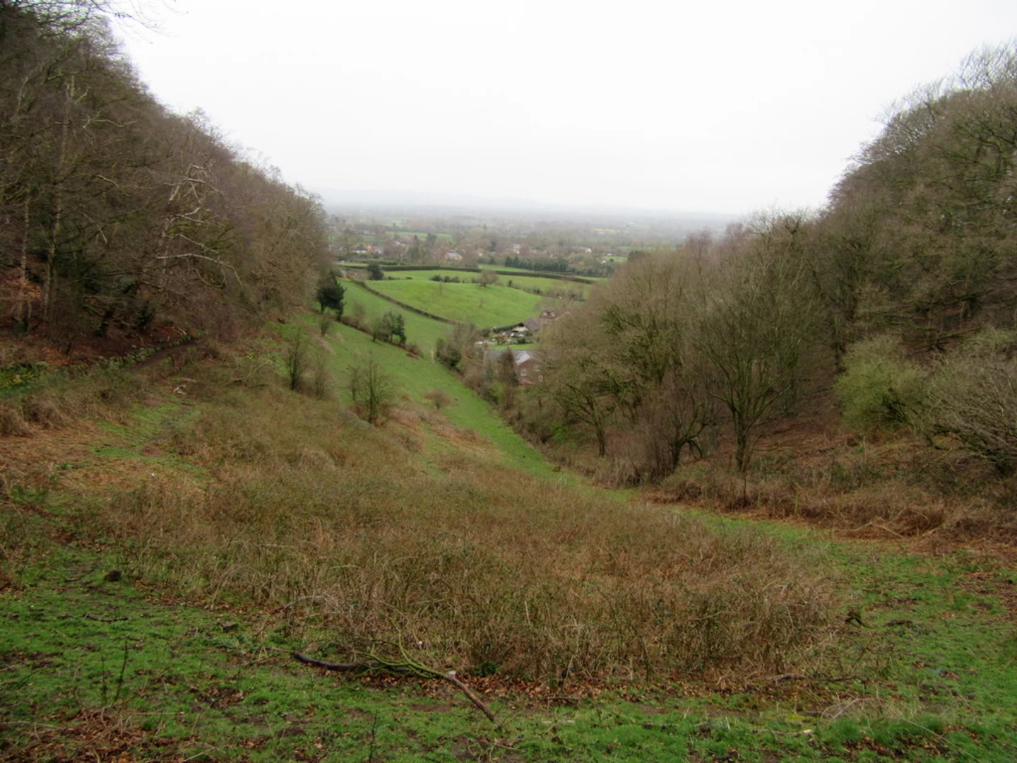 An image depicting the trail Boothsdale and Kelsall Loop and its surrounding area.