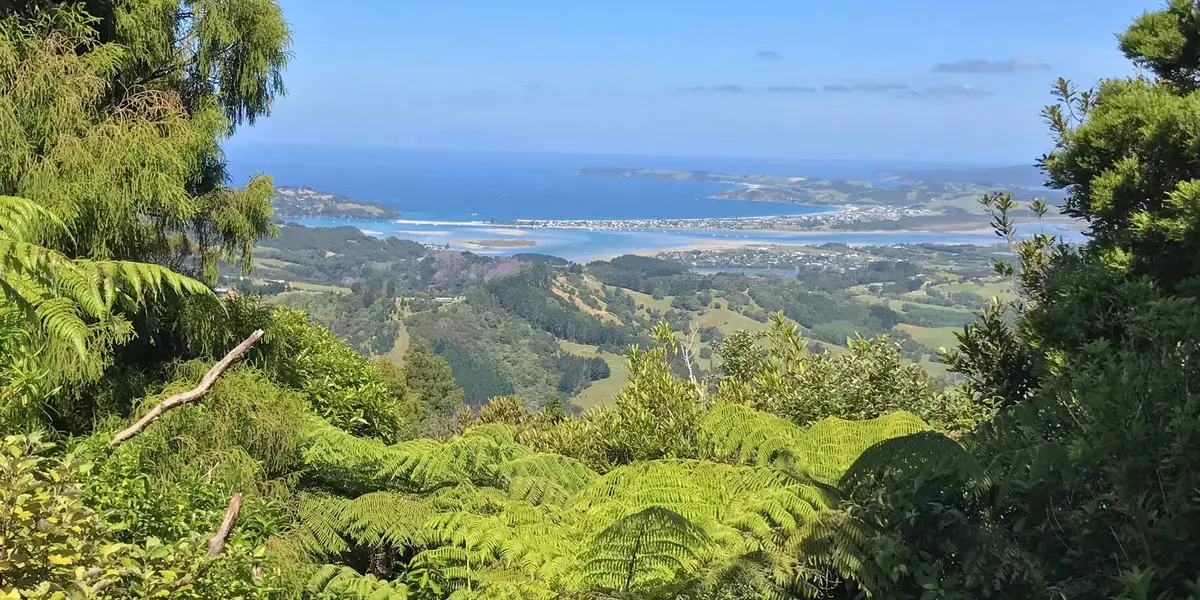 Mt Tamahunga Walkway