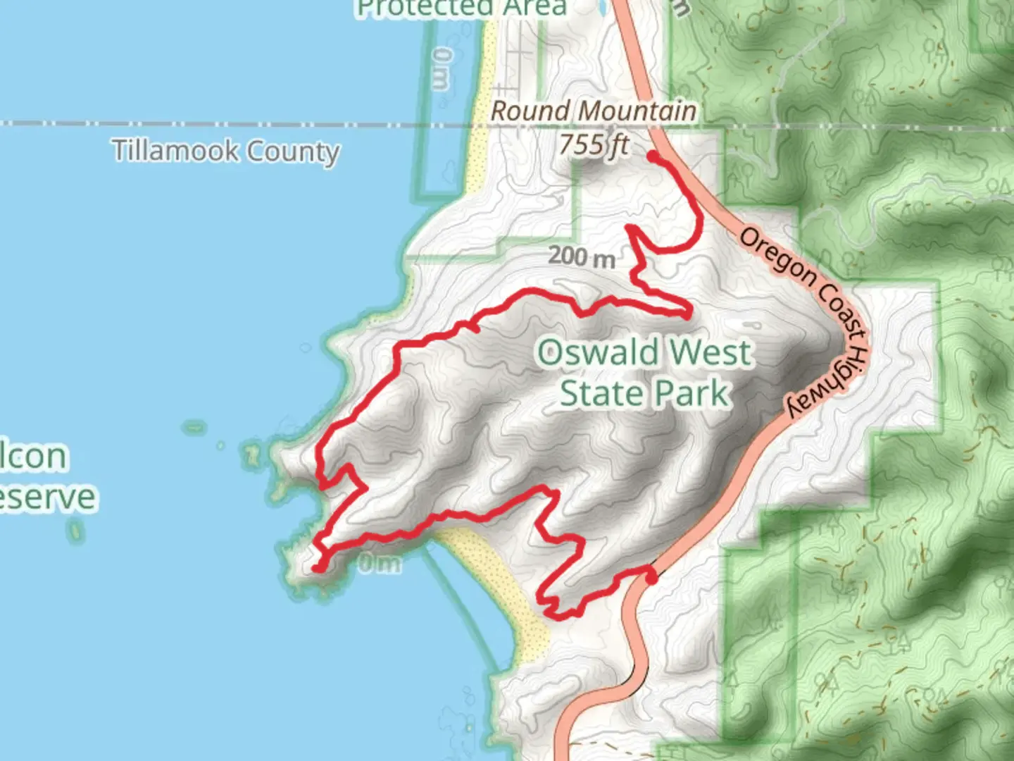 An image depicting the trail Arch Cape to Cape Falcon Trail and its surrounding area.