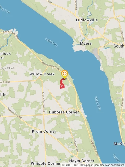 Taughannock Boulevard Loop