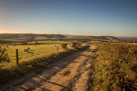 An image depicting the trail South Downs Way - Washington to Eastbourne and its surrounding area.