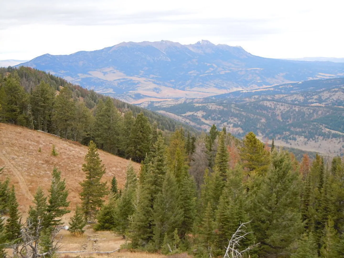 An image depicting the trail Rocky Canyon Trail and its surrounding area.