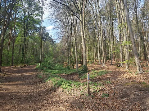 De Motketel and Galgenberg Loop via Niersense Weg