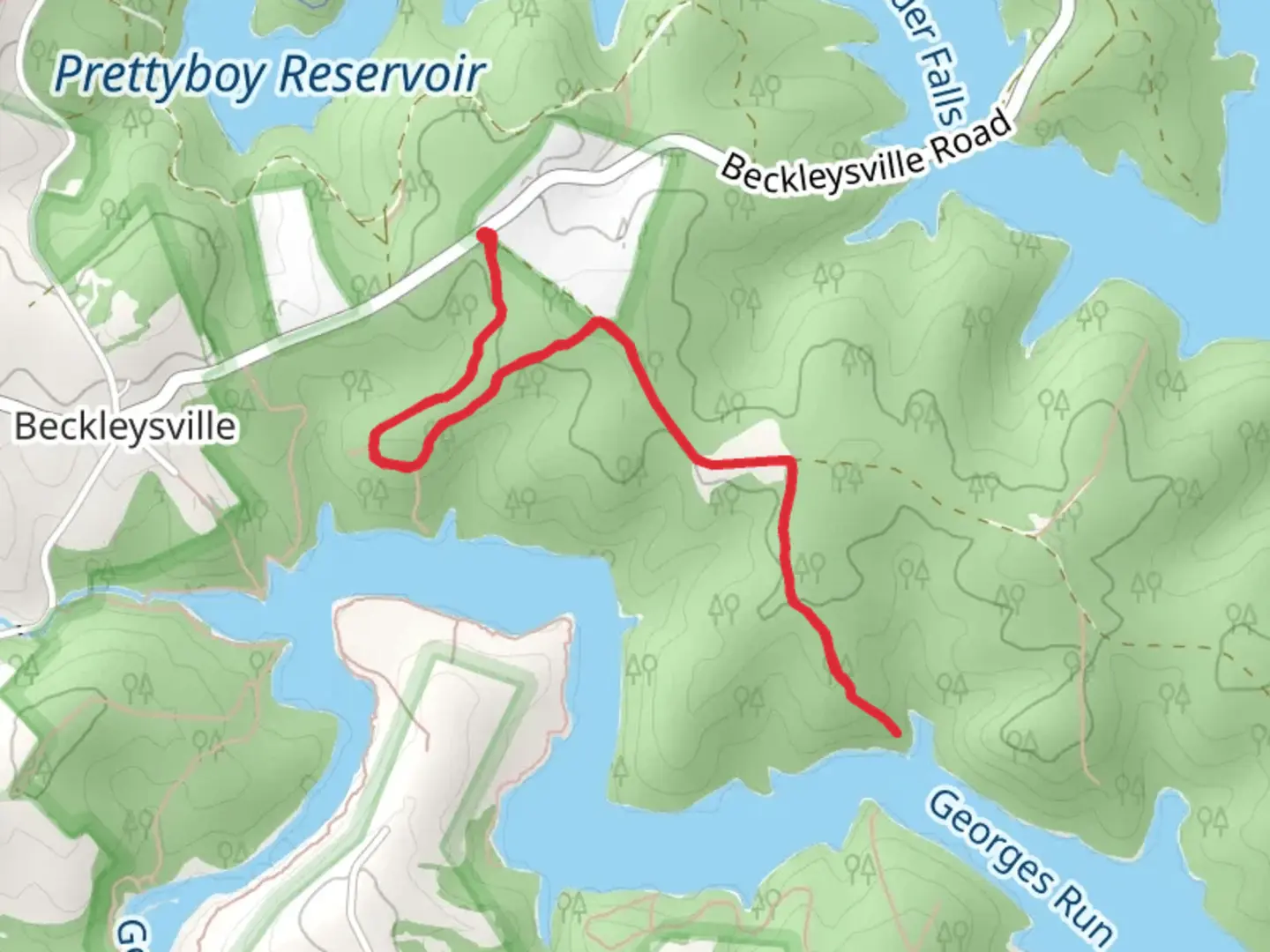 An image depicting the trail Georges Run and its surrounding area.