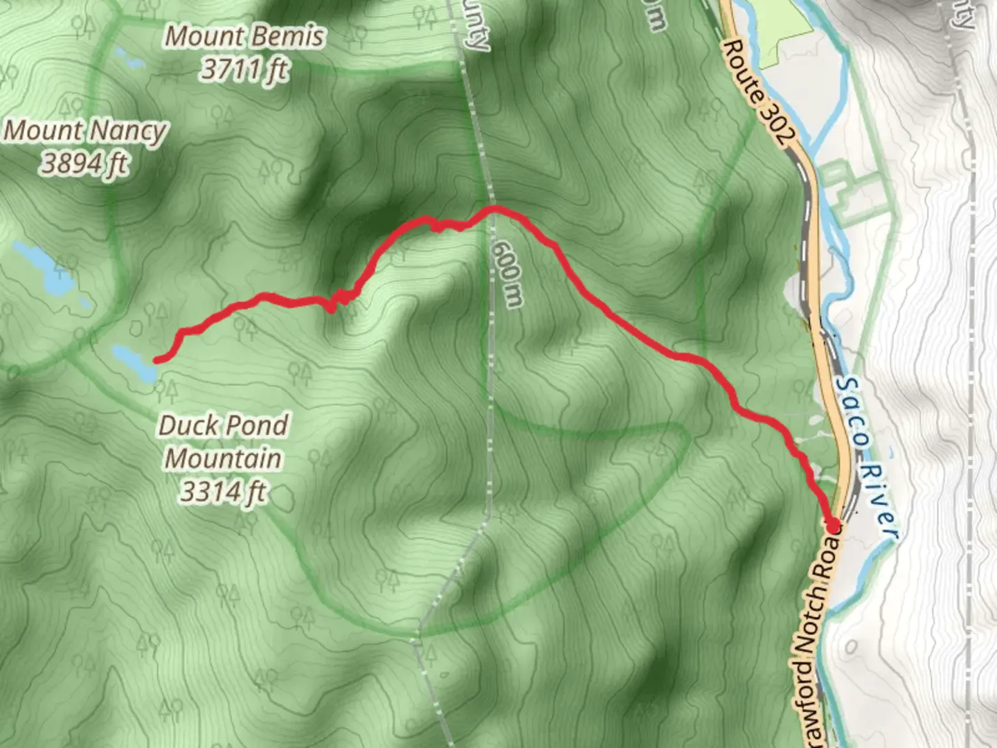 An image depicting the trail Nancy Pond and Nancy Brook and its surrounding area.