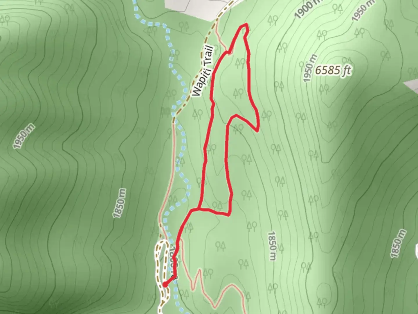 An image depicting the trail Lichen Loop Trail and its surrounding area.