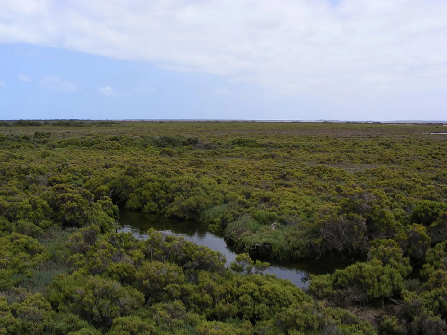 An image depicting the trail St Kilda Mangrove Trail and its surrounding area.