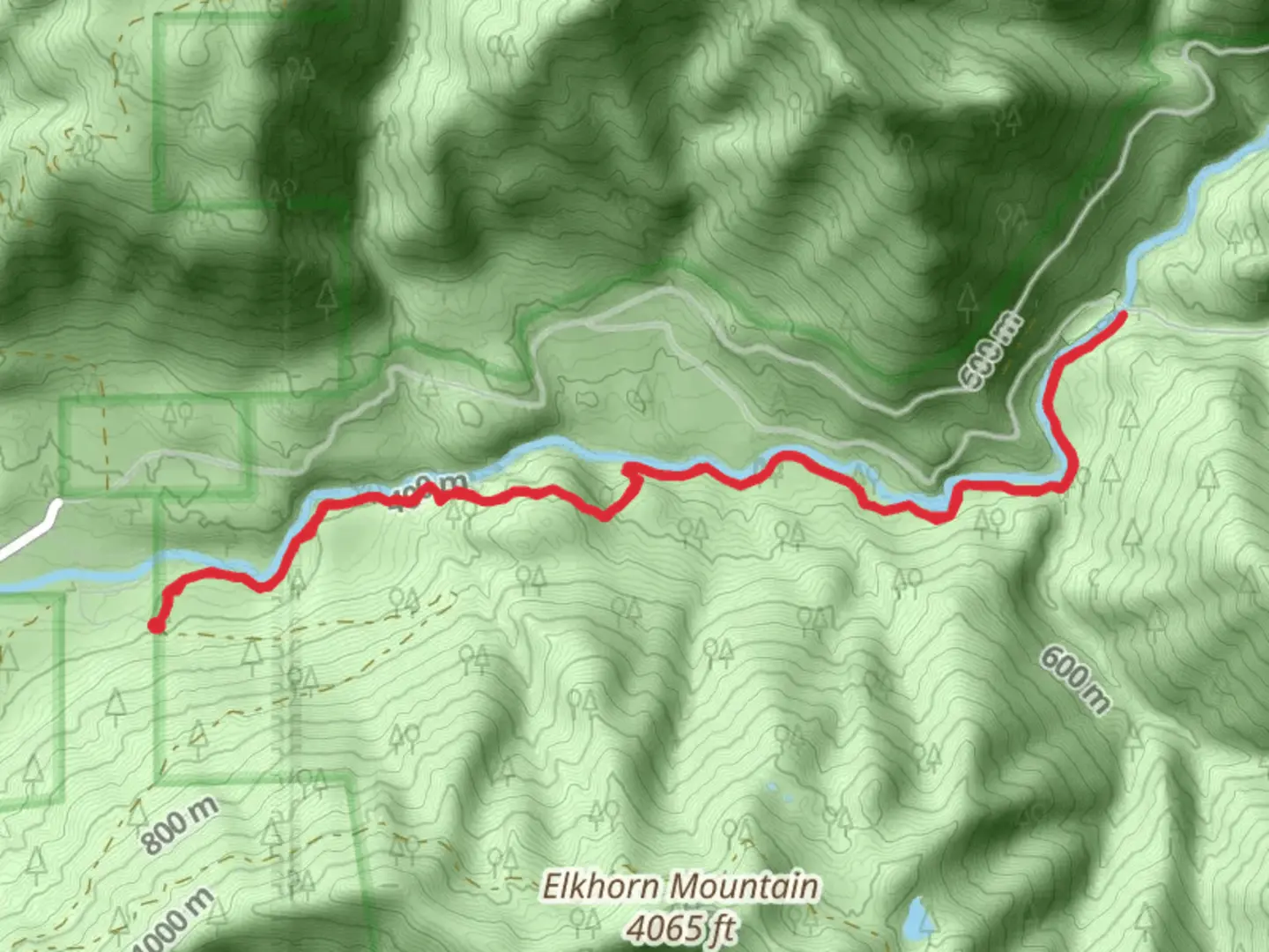 An image depicting the trail Little North Santiam River Trail and its surrounding area.