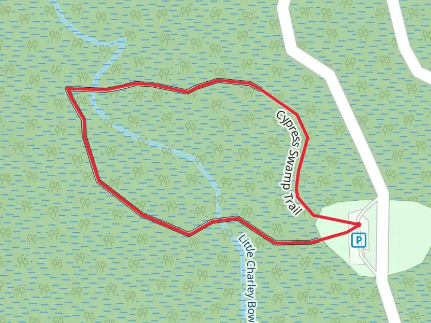 An image depicting the trail Cypress Swamp Loop Trail and its surrounding area.