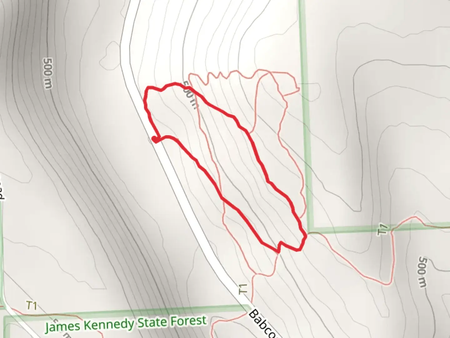 An image depicting the trail Lithuanian Trail and Irish Trail Loop and its surrounding area.
