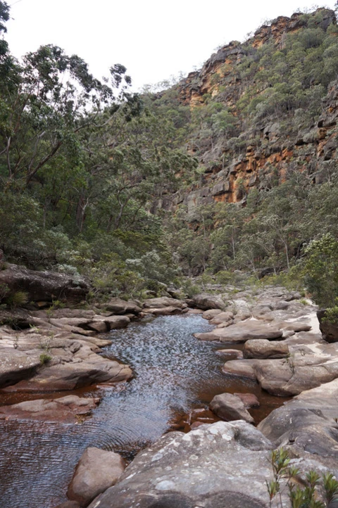 Glenbrook Gorge Track