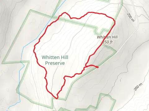 Whitten Hill Loop Trail