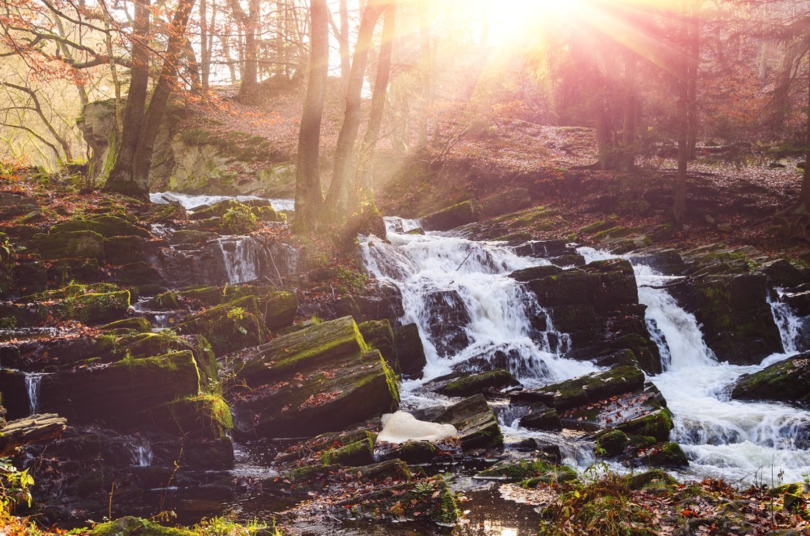 An image depicting the trail Harzer Hexen-Steig and its surrounding area.