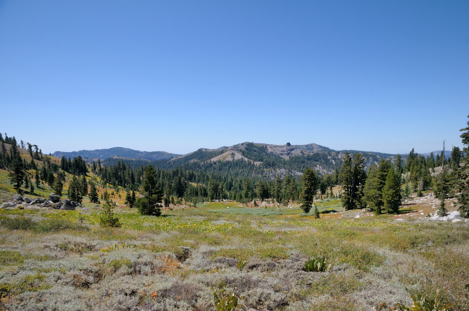 An image depicting the trail Greyhorse Trail and its surrounding area.