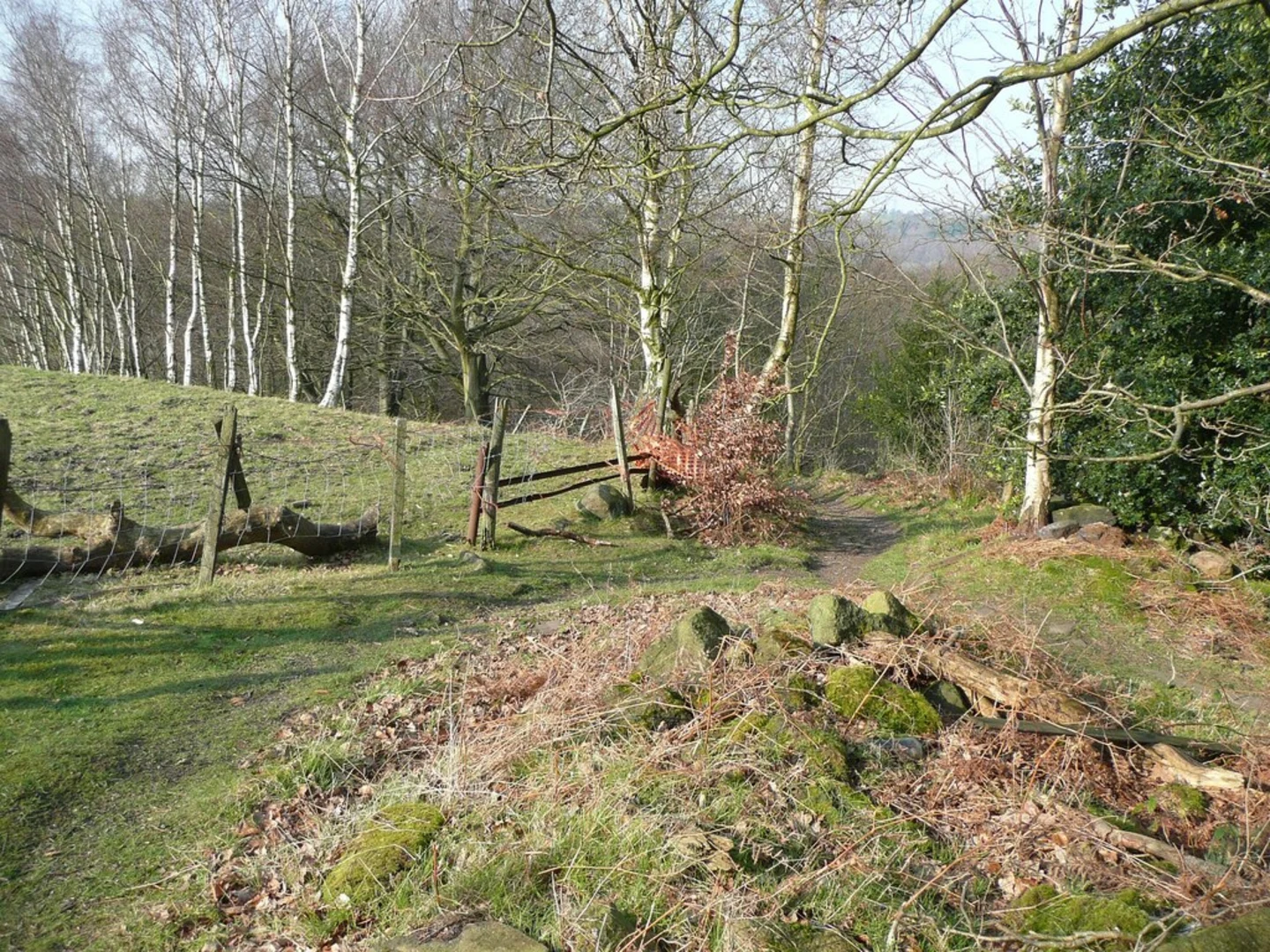 An image depicting the trail The Shrogs and Laurel Hill Wood and its surrounding area.