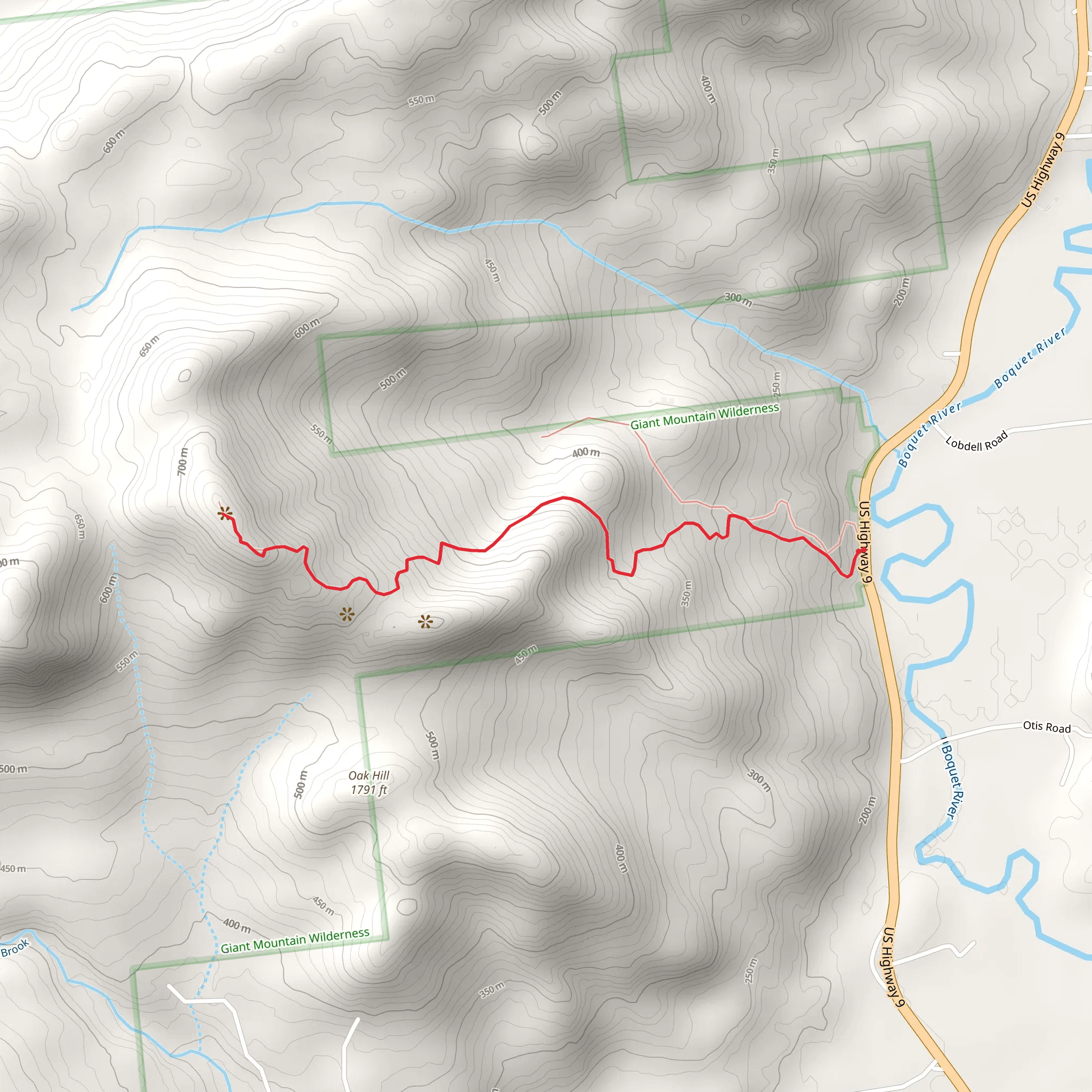 Iron Mountain Out and Back Trail mobile static map
