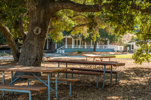 An image depicting the trail Triunfo Creek - Malibou Lake Connector Loop Trail and its surrounding area.