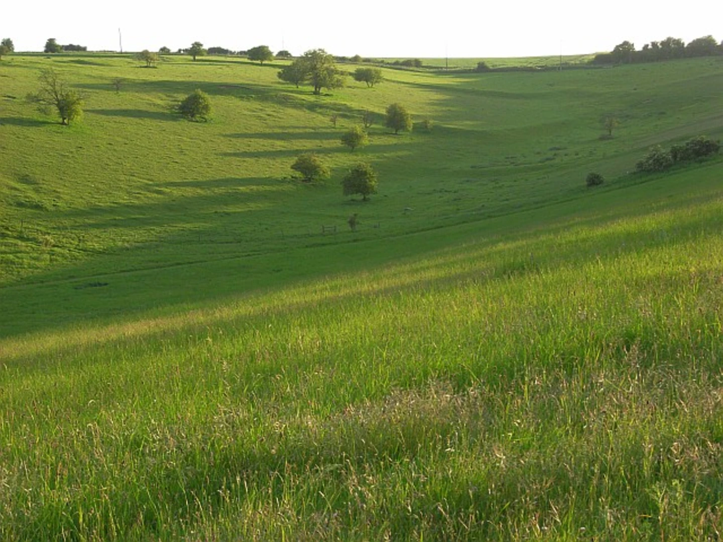 An image depicting the trail Aldworth Walk and its surrounding area.
