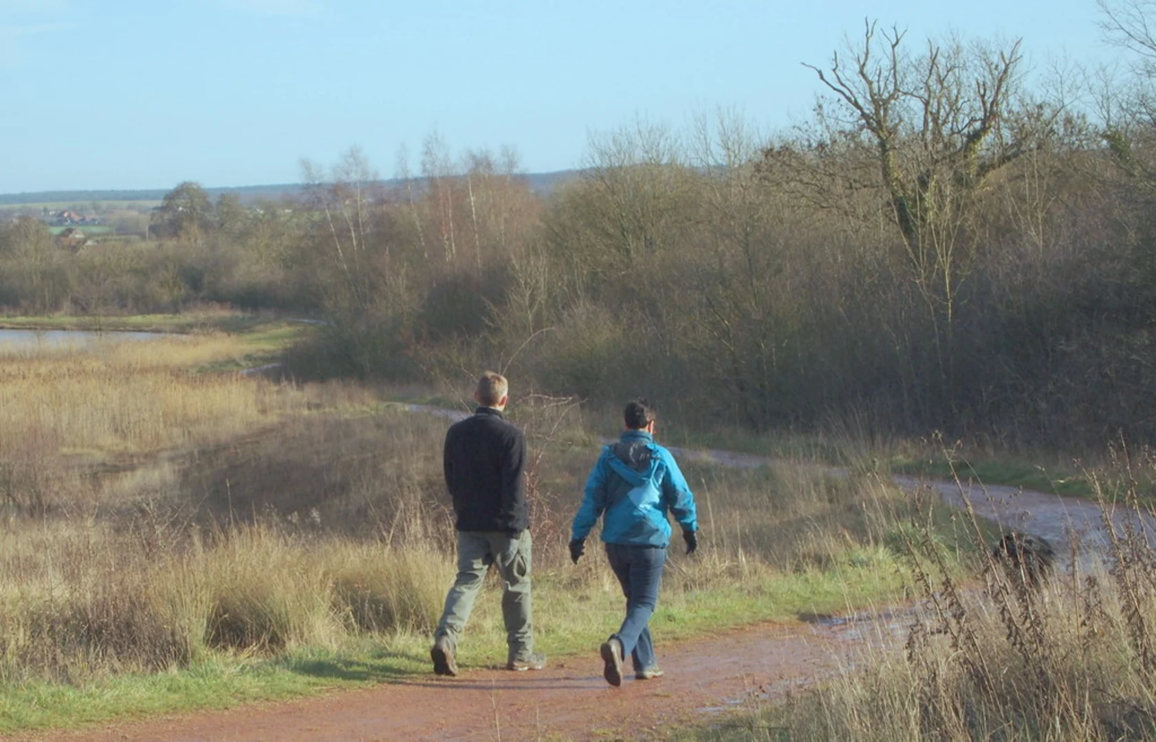 An image depicting the trail Shirebrook Wood Loop and its surrounding area.