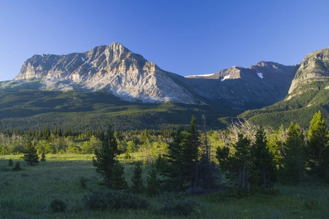 An image depicting the trail Flattop Mountain Trail and its surrounding area.