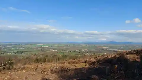 An image depicting the trail Killavullen Wood Loop - Mallow and its surrounding area.