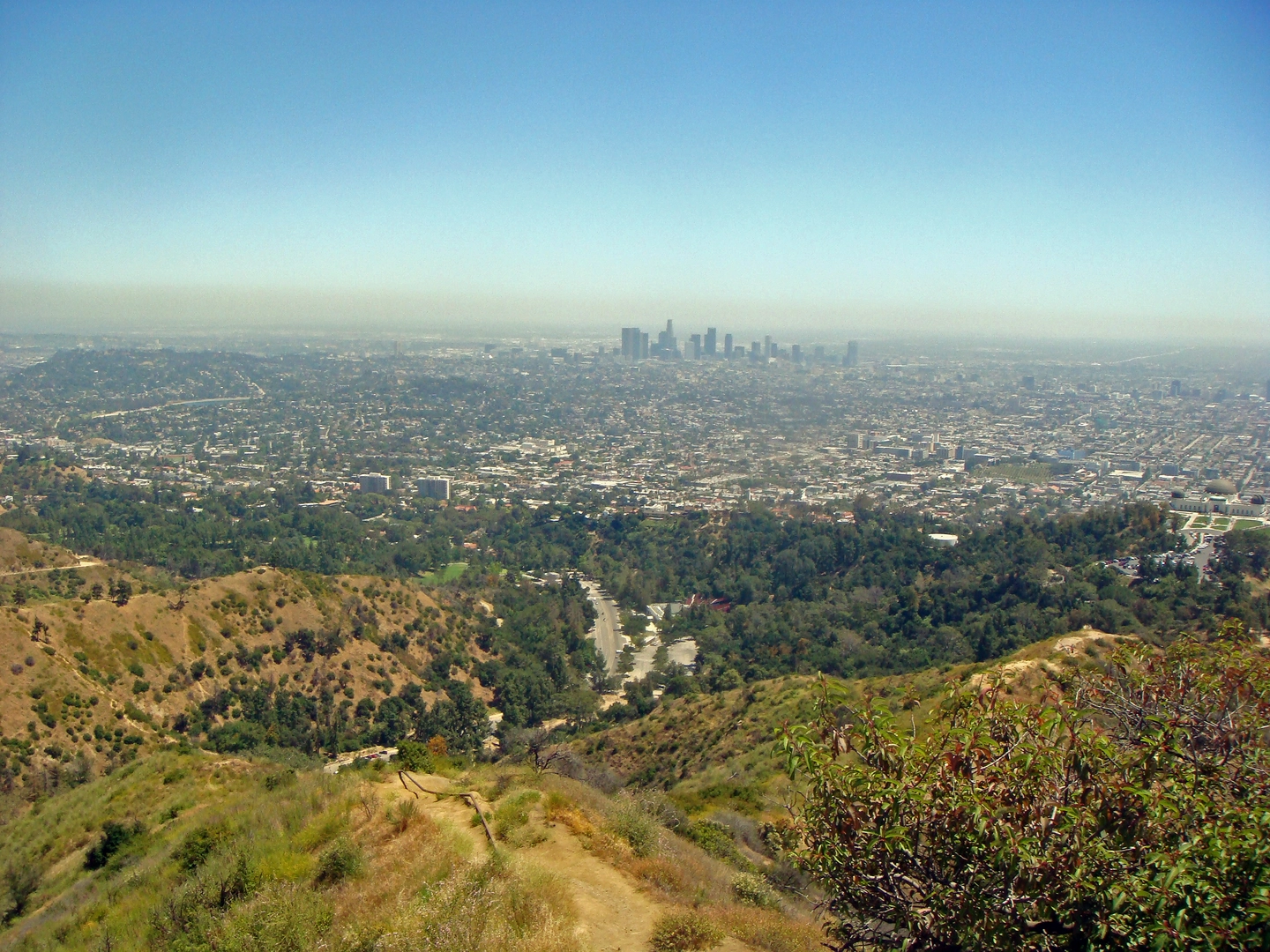 An image depicting the trail Mount Hollywood from Vermont Canyon Road and its surrounding area.