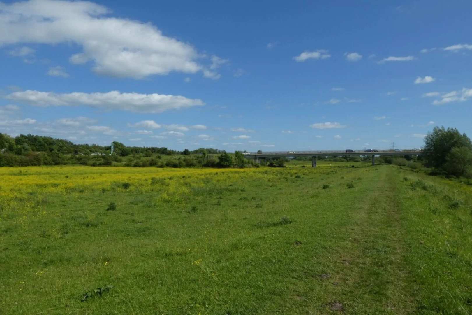 An image depicting the trail Clifton Ings and Rawcliffe Ings Loop and its surrounding area.