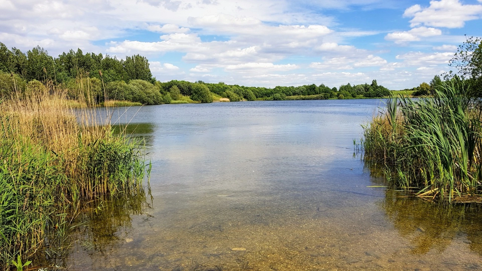 An image depicting the trail Harmondsworth Moor and its surrounding area.